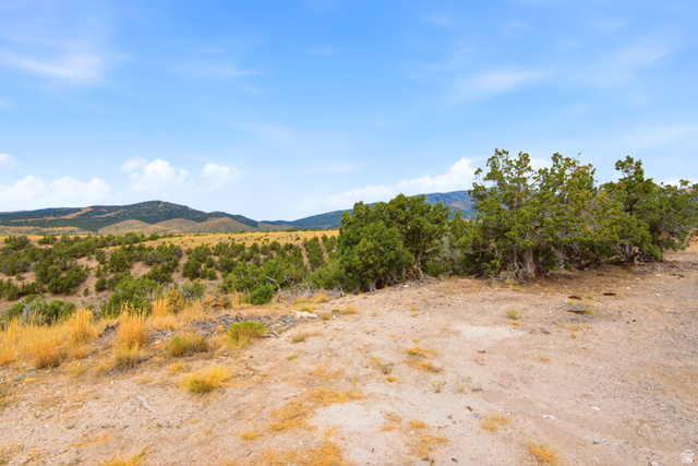 1155 N Big Hollow Rd. W #3, Rush Valley, UT 84069 — photo 12