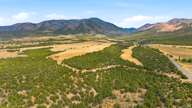 1155 N Big Hollow Rd. W #3, Rush Valley, UT 84069 — photo 11