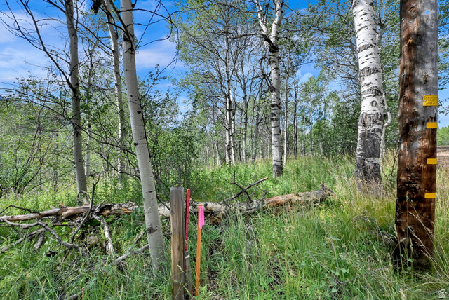 5426 E Colter #33, Oakley, UT 84055 — photo 12