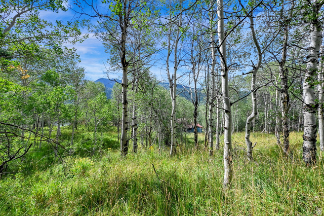 5426 E Colter #33, Oakley, UT 84055 — photo 8
