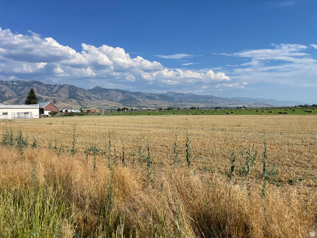 50 E 800 N, Lewiston, UT 84320 — photo 4