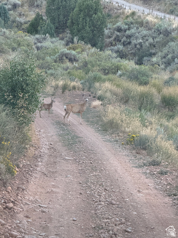 #LOT #7, Hyrum, UT 84319 — photo 7