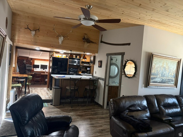 1049 Lewis Dr, Tabiona, UT 84072 — photo 8