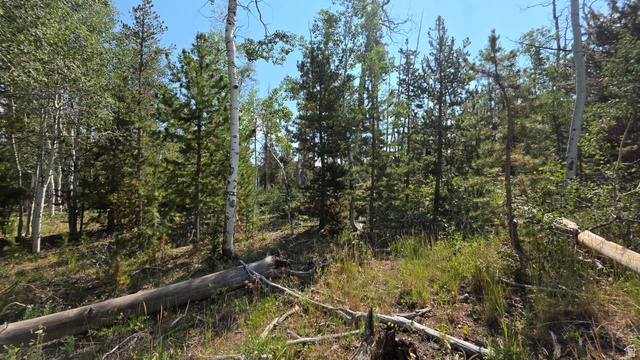 5085 Alpine Rd #6, Kamas, UT 84036 — photo 4