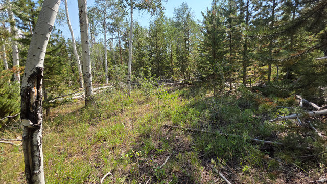 5085 Alpine Rd #6, Kamas, UT 84036 — photo 2
