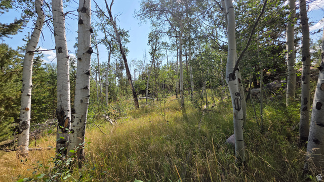 5085 Alpine Rd #6, Kamas, UT 84036 — photo 3