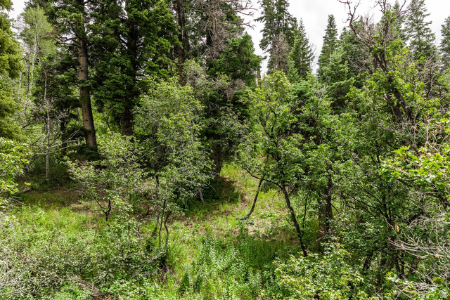 2241 S Forest Meadow Rd #158, Coalville, UT 84017 — photo 12