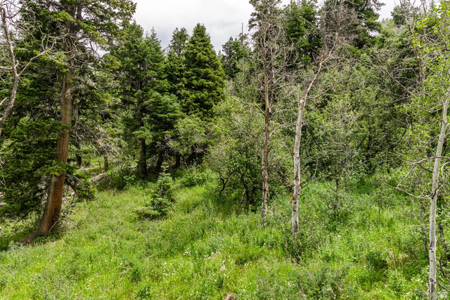 2241 S Forest Meadow Rd #158, Coalville, UT 84017 — photo 10