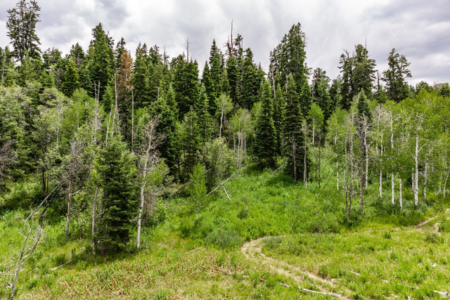 2241 S Forest Meadow Rd #158, Coalville, UT 84017 — photo 4
