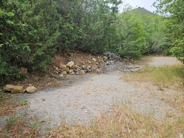 46 S Upper Birch Creek Rd E #L46, Fairview, UT 84629 — photo 8