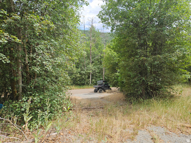 46 S Upper Birch Creek Rd E #L46, Fairview, UT 84629 — photo 2