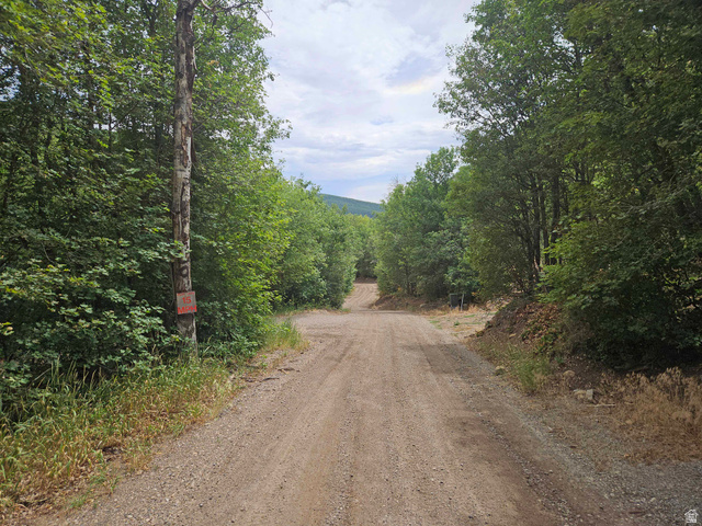 46 S Upper Birch Creek Rd E #L46, Fairview, UT 84629 — photo 4