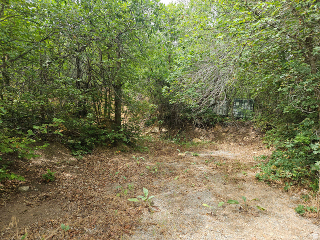 46 S Upper Birch Creek Rd E #L46, Fairview, UT 84629 — photo 7