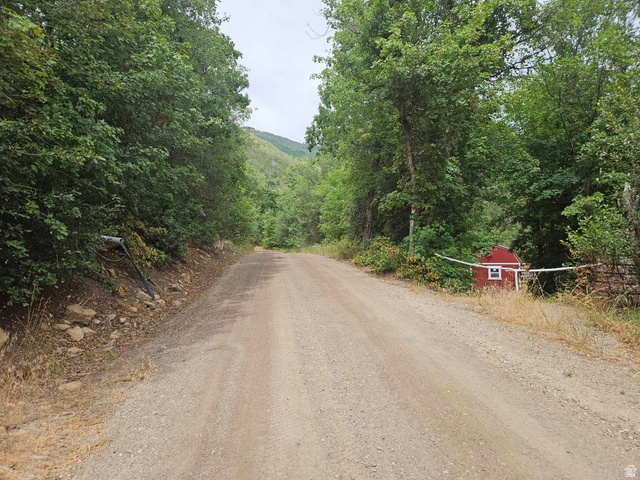 46 S Upper Birch Creek Rd E #L46, Fairview, UT 84629 — photo 3