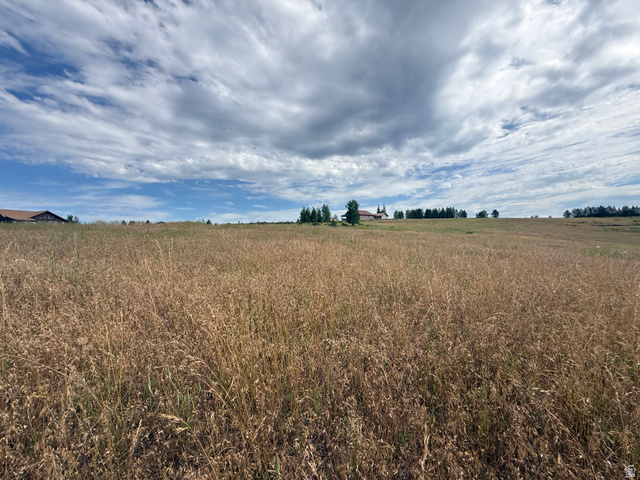 4423 Chickadee Ln #88, Ashton, ID 83420 — photo 12
