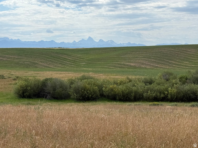 4423 Chickadee Ln #88, Ashton, ID 83420 — photo 3