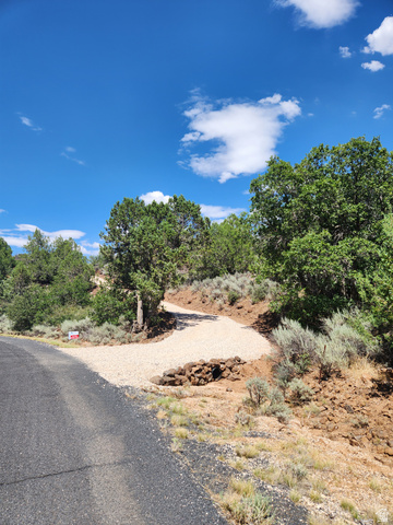 2981 S Juniper Way #238, New Harmony, UT 84757 — photo 5
