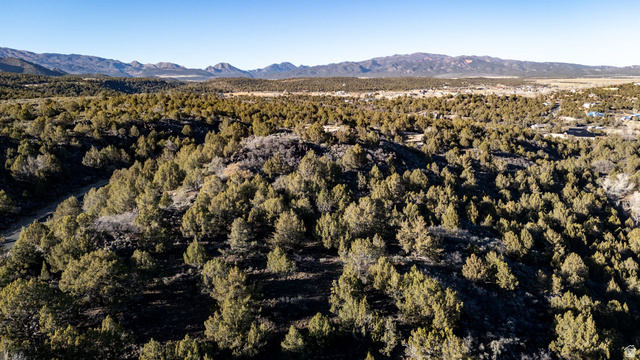 2981 S Juniper Way #238, New Harmony, UT 84757 — photo 11