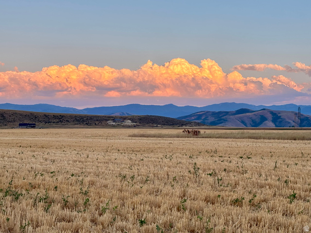 311 E Mail Route Rd, Preston, ID 83263 — photo 12
