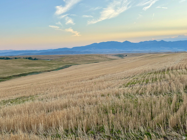 311 E Mail Route Rd, Preston, ID 83263 — photo 10