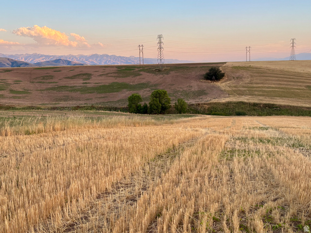 311 E Mail Route Rd, Preston, ID 83263 — photo 11