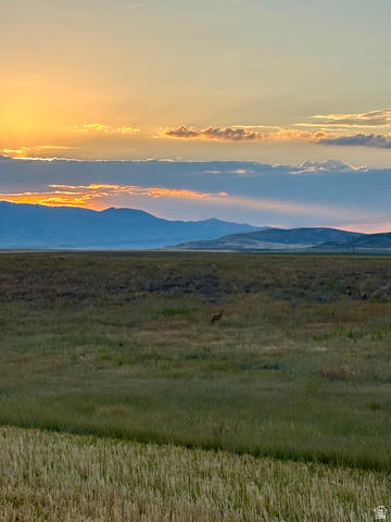 311 E Mail Route Rd, Preston, ID 83263 — photo 5
