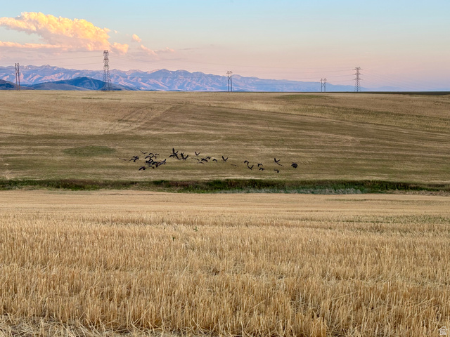 311 E Mail Route Rd, Preston, ID 83263 — photo 9