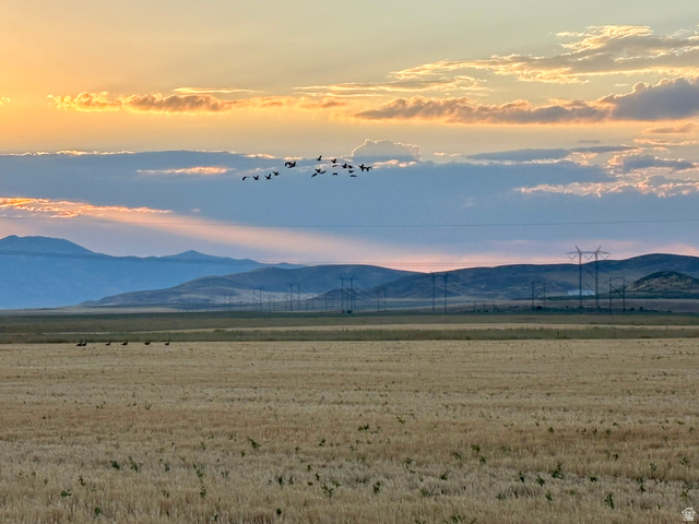 311 E Mail Route Rd, Preston, ID 83263 — photo 8
