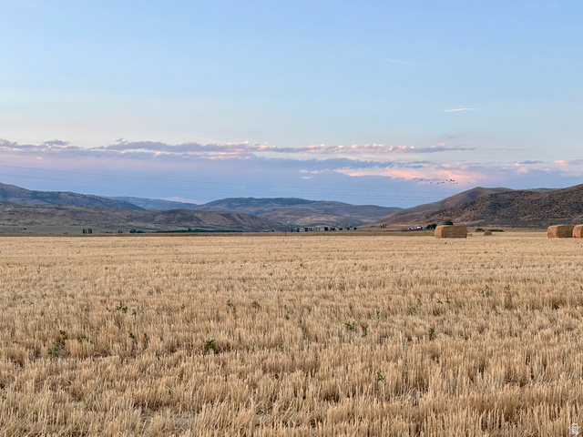 311 E Mail Route Rd, Preston, ID 83263 — photo 3