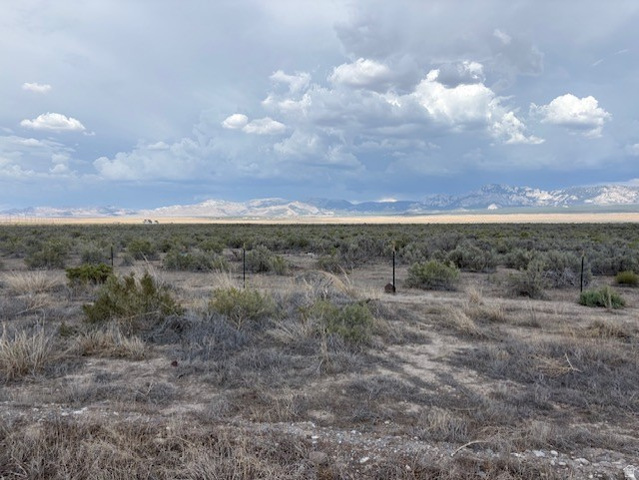 50 S 800 E, Milford, UT 84751 — photo 3