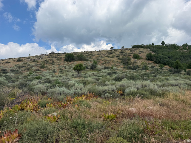 1283 W Cottonwood Cir #G-39, Garden City, UT 84028 — photo 4