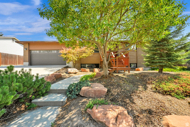 2532 E Cliff Swallow Dr
                     MLS #2175234