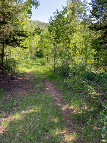 , Hyrum, UT 84319