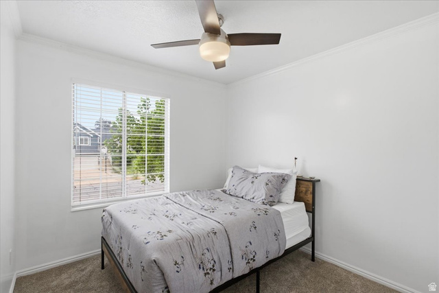 684 E 1550 S, Kaysville, UT 84037 — photo 10