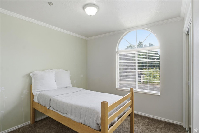 684 E 1550 S, Kaysville, UT 84037 — photo 11