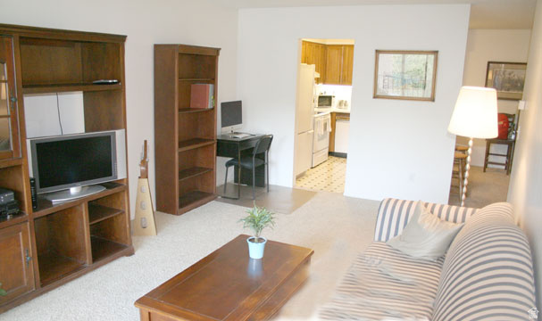 245 N Vine St #503, Salt Lake City, UT 84103 — photo 4