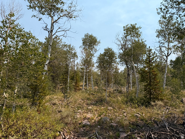 4913 Pinecrest Rd, Kamas, UT 84036 — photo 4