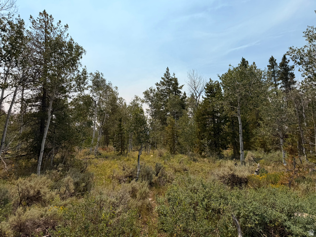 4913 Pinecrest Rd, Kamas, UT 84036 — photo 10