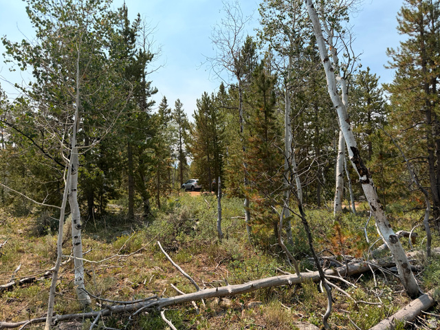 4913 Pinecrest Rd, Kamas, UT 84036 — photo 11