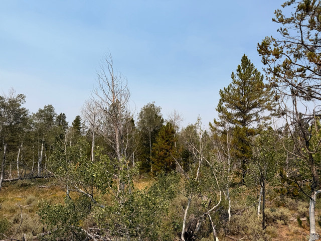 4913 Pinecrest Rd, Kamas, UT 84036 — photo 6