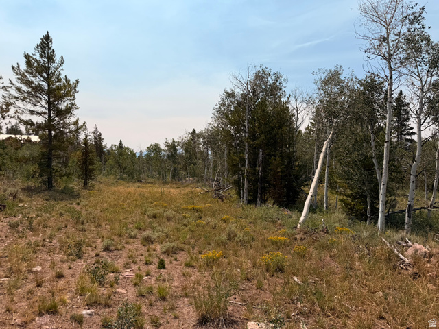 4913 Pinecrest Rd, Kamas, UT 84036 — photo 9