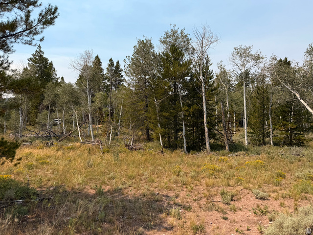 4913 Pinecrest Rd, Kamas, UT 84036 — photo 8