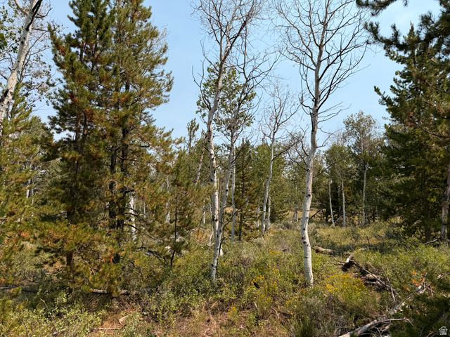 4913 Pinecrest Rd, Kamas, UT 84036 — photo 3