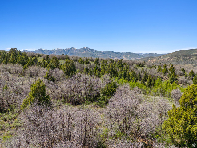 , Heber City, UT 84032 — photo 5