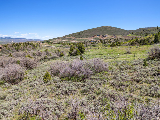, Heber City, UT 84032 — photo 11