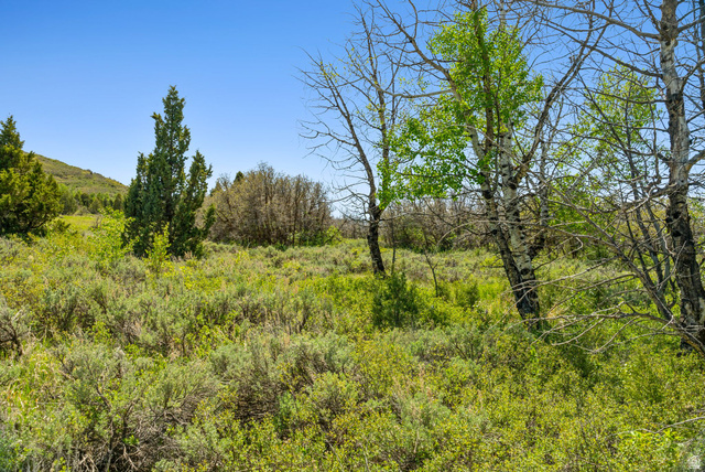 , Heber City, UT 84032 — photo 7