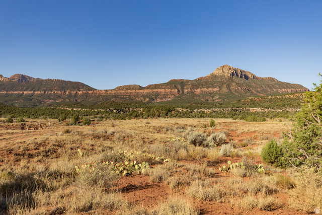 Rockville, UT 84763, photo 3