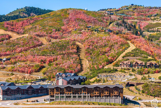 2303  Deer Hollow Rd #2110
                     MLS #2177474