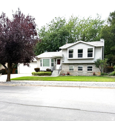 1188  Cannon Dr
                     MLS #2177700