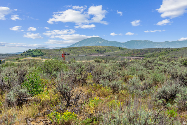 5760 DOUBLE DEER DR 25, Park City